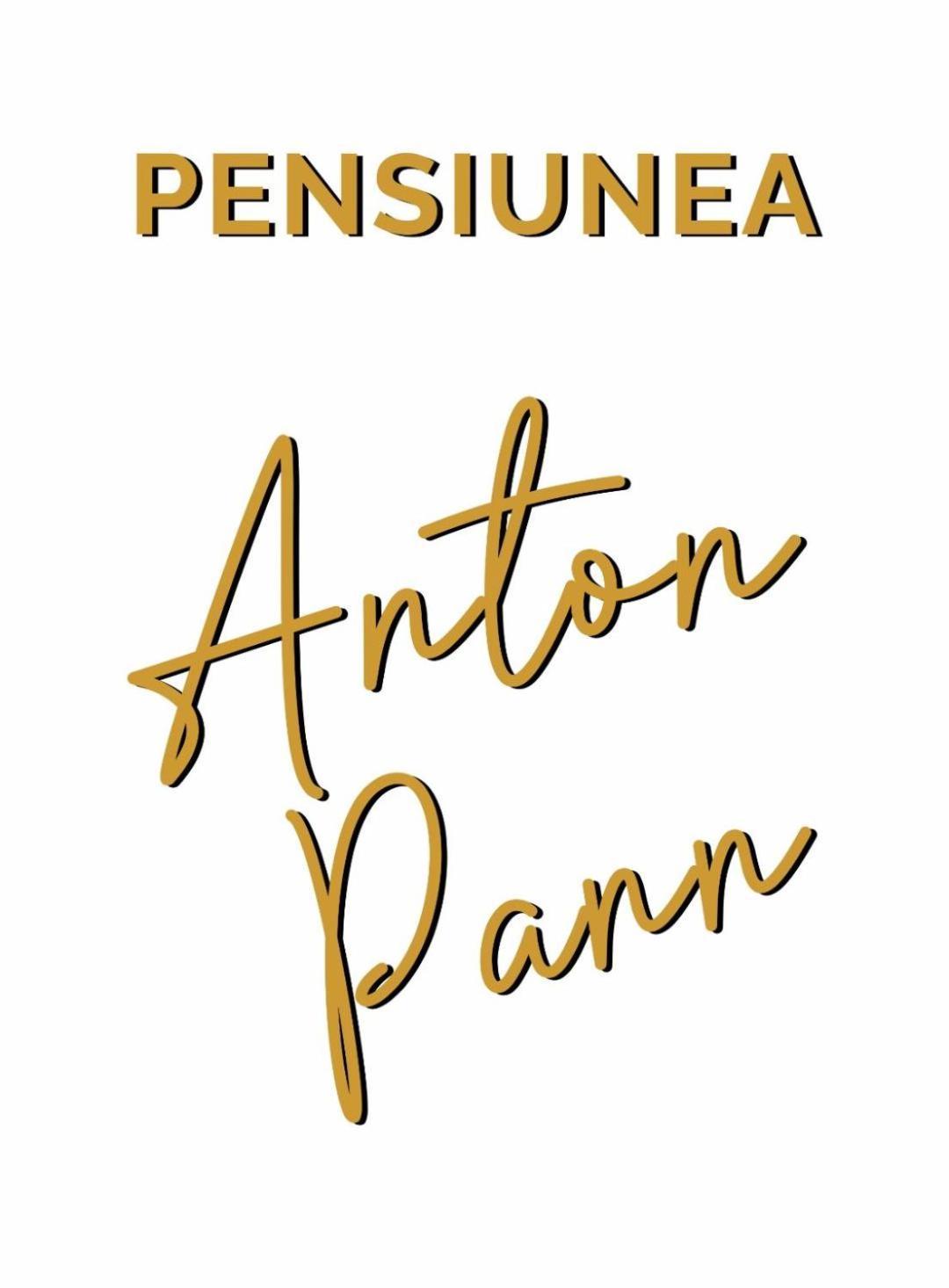 Pensiunea Anton Pann Сибиу Экстерьер фото